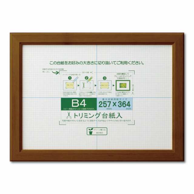 大仙 額縁 OA額 OAカノエ B4 ブラウン シュリンクパック J635D6201