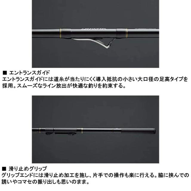 ダイワ(DAIWA) 波止釣り・海上釣堀ロッド ILリーガル 2-53 釣り竿