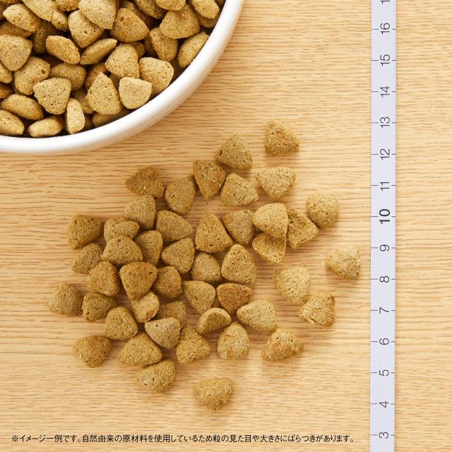 Nutro ニュートロ 自然的 より分ける 痩せこける用 全犬種用 成犬用 子ヒツジ＆玄米 13.5kg ドッグフード