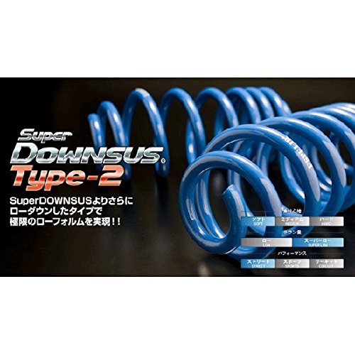 ESPELIR ( エスペリア )【 Super ダウンサス 】( Down type2 ) 日産 セレナ ライダー 2WD C25 ESN-1160_2