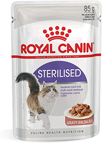 ロイヤルカナン FHN -WET ステアライズド 猫用 85g×48個_1