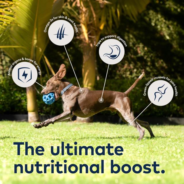 ZIWI エアドライドッグフード グラスフェッドビーフ 1kg 自然食_4
