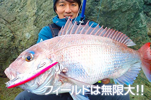 Blue Blue(ブルーブルー) ルアー ブローウィン140S #20シルクイワシ