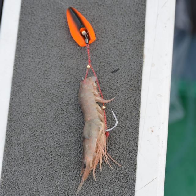 ハヤブサ(Hayabusa) 無双真鯛 貫撃遊動テンヤ SE105 20号 14-12 1