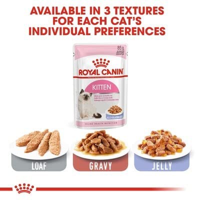 ロイヤルカナン キトン ゼリー (猫専用ウェットフード 子猫用 ロイヤルカナン キトン ゼリー (猫専用ウェットフード 子猫用