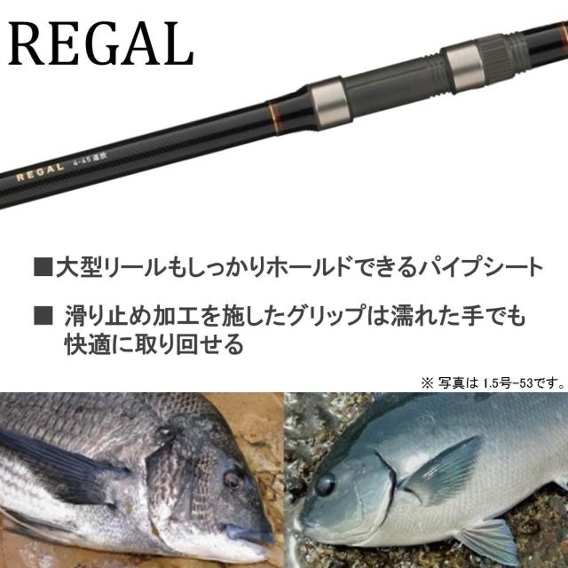 ダイワ(DAIWA) 波止釣り・海上釣堀・磯竿 リーガル 遠投 3-45遠投