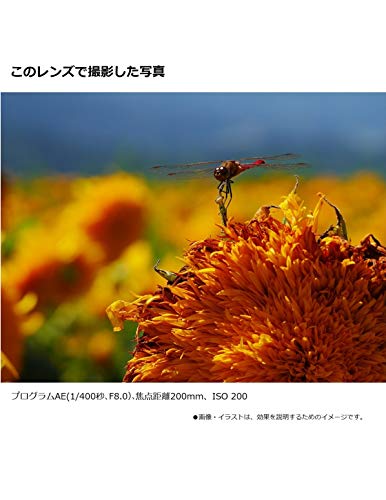 パナソニック(Panasonic) 望遠ズームレンズ マイクロフォーサーズ用 ルミックス G VARIO 35-100mm/F4.0-5.6 ASPH./MEGA O.I.S. シルバー の通販は