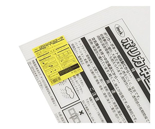 光 ポリカ中空ボード 透明 2枚入 4×900×900mm KTP990W-1-2