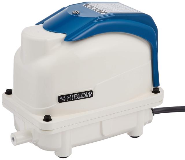 リチャード ケイシー）魚絵 鉄板皿の美術品 ☆直径 約35.7㎝ 【公式通販】