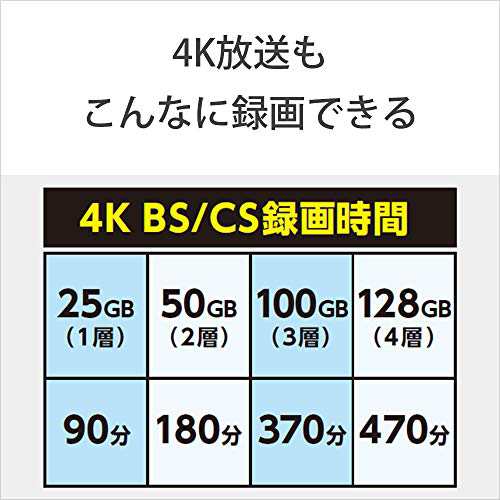 ソニー ビデオ用ブルーレイディスク (10枚パック) 日本製 10BNE3VCPS2