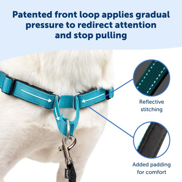 PetSafe（ペットセーフ） 犬用 引っ張り防止ハーネス デラックス