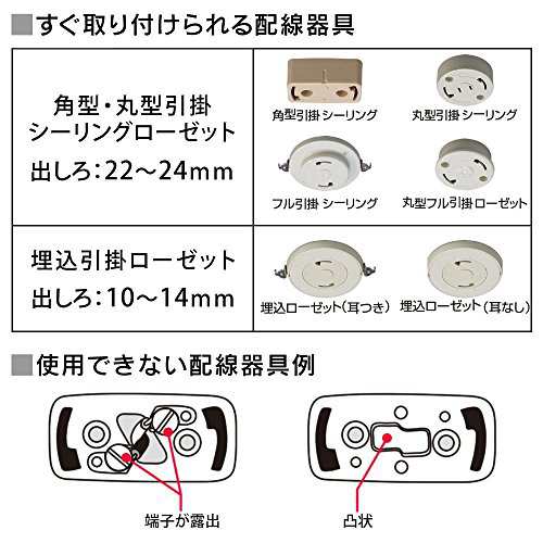 アイリスオーヤマ LED シーリングライト 小型 60W相当 昼白色 450lm