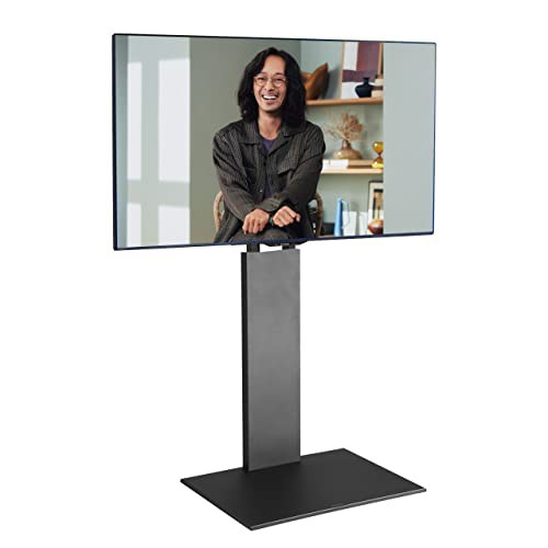EQUALS イコールズ テレビ台 壁寄せテレビスタンド WALL V2 ハイタイプ (2020モデル) 32〜60V対応 サテンブラックの通販は