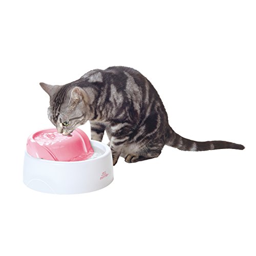 ジェックス ピュアクリスタル クリアフロー 猫用ピンクの通販は