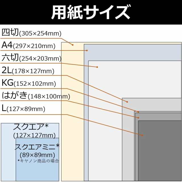 キヤノン 写真用紙 光沢 プロ プラチナグレード A4 20枚 PT-201A420