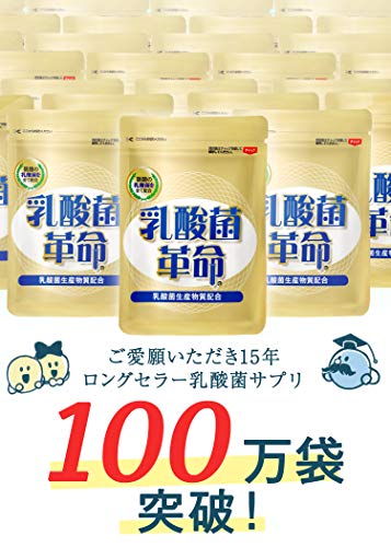 新品 健康いきいき倶楽部 乳酸菌革命 2袋 （62粒入×2袋）2023/06