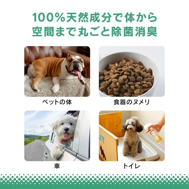 エーピーディーシークリア キレイウォーター グリーンフォレスト 詰め替え 1000mlの通販は