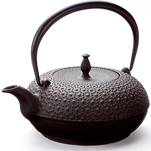 及源 南部鉄器 鉄瓶 東雲亀甲 1.0L IH対応 H-200の通販は