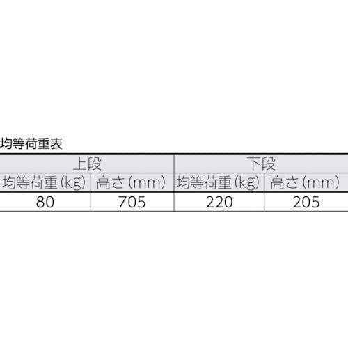 TRUSCO(トラスコ) ドンキーカート 固定式簡易2段 915×615 3024Nの通販