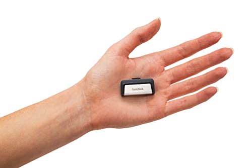 Sandisk ( サンディスク ) 256GB USB3.1 Type-C フラッシュメモリ ( 読込最大 150MB/s ) SDDDC2-256G-G46 海外パッケージ_5