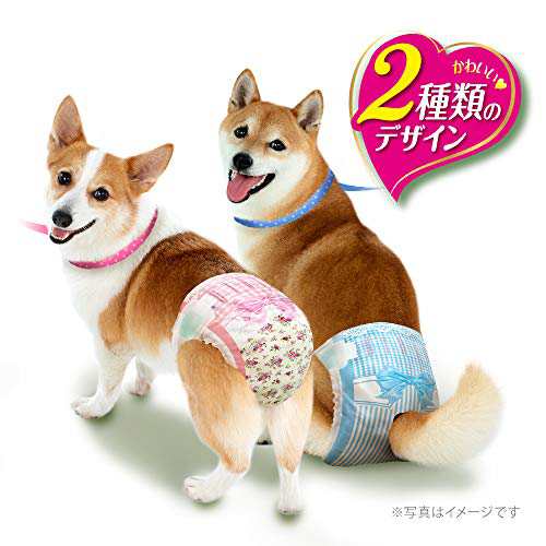 マナーウェア 女の子用 Lサイズ 中型犬用 32枚×8個入り (ケース販売)の