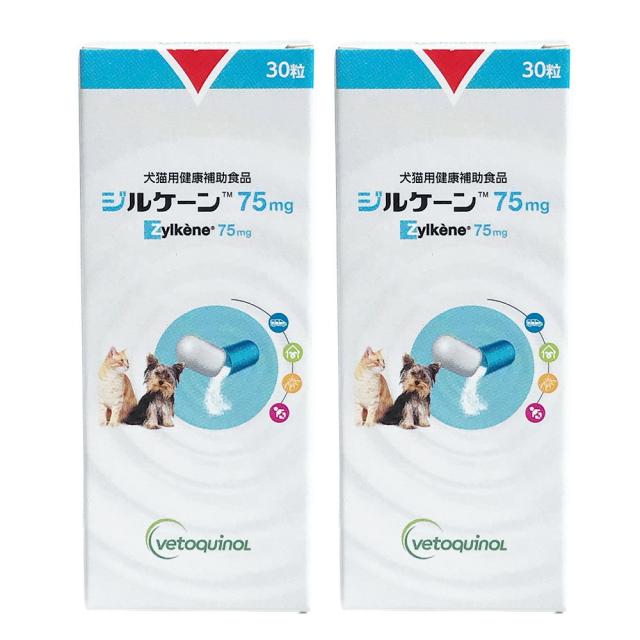 【2個セット】ジルケーン 75mg