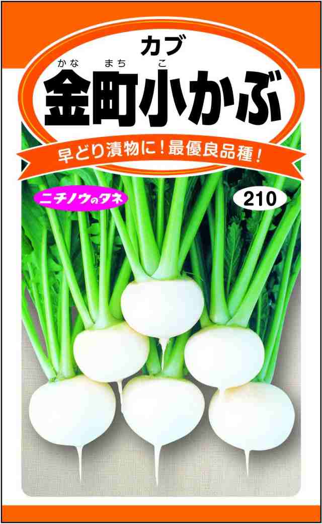 日本農産種苗 種(野菜) ミニ野菜セット 901095 小さなスペースでも栽培できる 4入