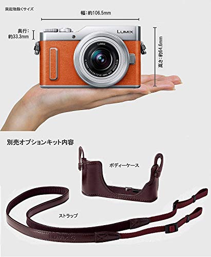 パナソニック ミラーレス一眼カメラ ルミックス GF10 ダブルレンズ 