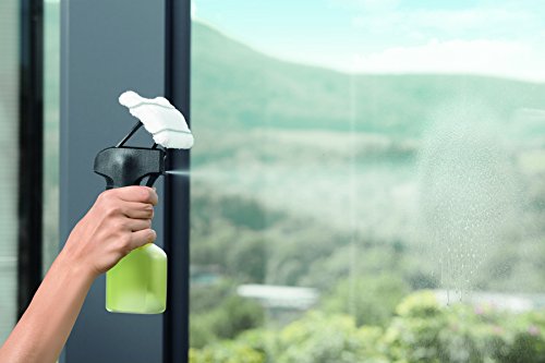 KARCHER(ケルヒャー) 窓用バキュームクリーナー WV 1 プラス 1.633 
