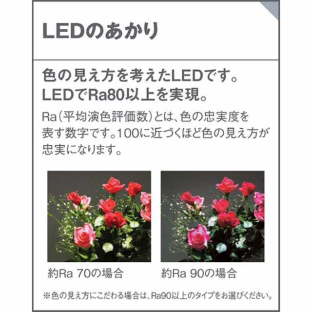 パナソニック(Panasonic) 門袖灯 LGW80212KLE1 オフブラック 本体: 高