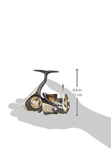 ダイワ(DAIWA) スピニングリール 18 レガリス LT4000D-CXH(2018モデル