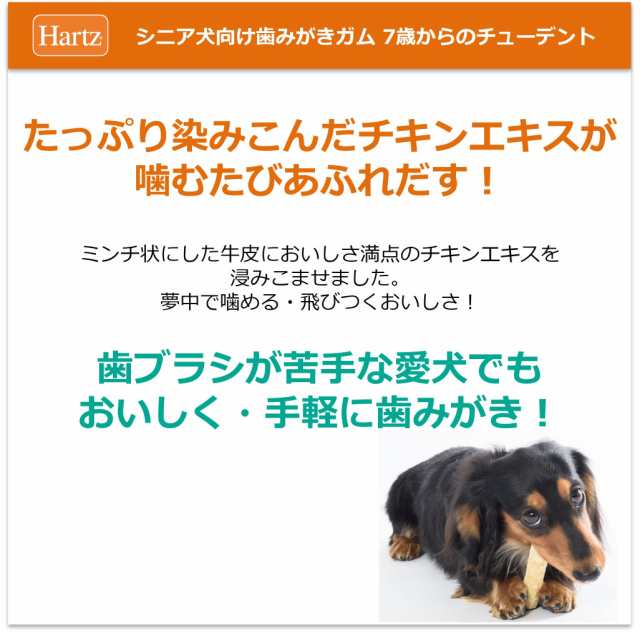 ハーツ (Hartz) 犬用おやつ 7歳からのチューデント 小型・中型犬用 4本