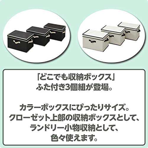 山善 どこでも 収納ボックス ふた付き 幅38×奥行25×高さ25cm 取っ手付き カラーボックス対応 完成品 アイボリー 3個組  YNF-3PF(IV)の通販はau PAY マーケット - famille | au PAY マーケット－通販サイト