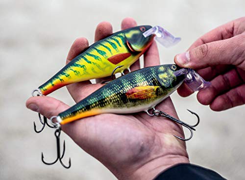 Rapala(ラパラ) ビッグベイト スーパーシャッドラップ 14cm 45g スケールドベイトフィッシュ SCRB SSR14-SCRB  ルアー｜au PAY マーケット