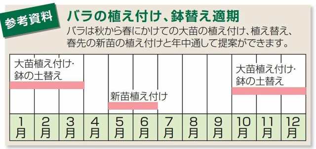 リッチェル バラ鉢 6号 ブルー 5個組の通販はau PAY マーケット - T&K