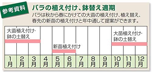 リッチェル バラ鉢 10号 ダークグリーン 5個組の通販はau PAY