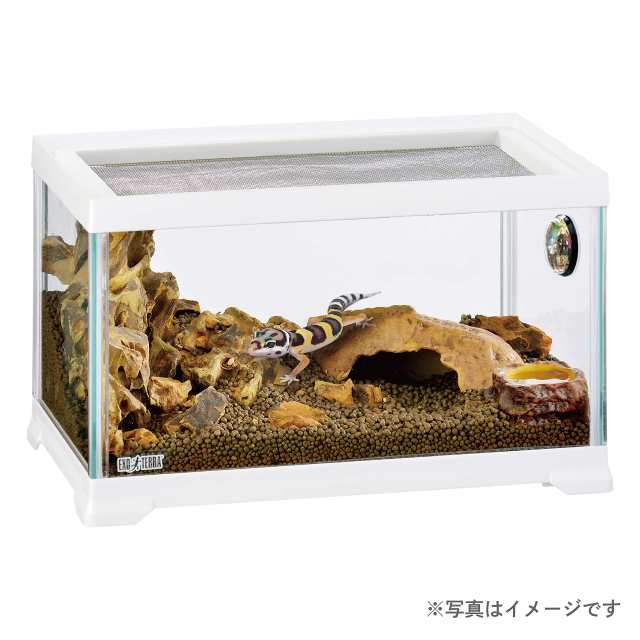 GEX EXOTERRA レプテリア レオパ飼育キットS 爬虫類用ガラスケージ 6点スターターセット ヒーター付 W31.6×D20×H19.2cm  爬虫類飼育用品の通販はau PAY マーケット - うぐいすショップ | au PAY マーケット－通販サイト