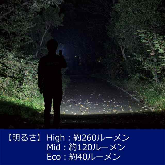 GENTOS(ジェントス) LED 懐中電灯 【明るさ260ルーメン/実用点灯5時間