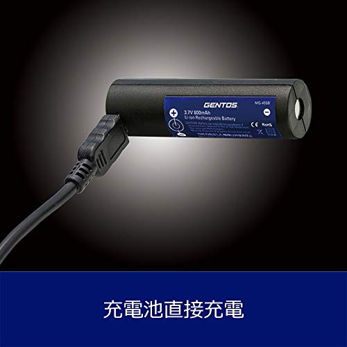 GENTOS(ジェントス) 懐中電灯 LEDライト 充電式(専用充電池) 300