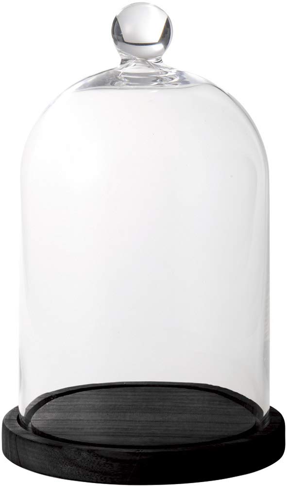 パセオ ウッドガラスドーム ブラック 20×20×32.5cm EX-45-32.5BK