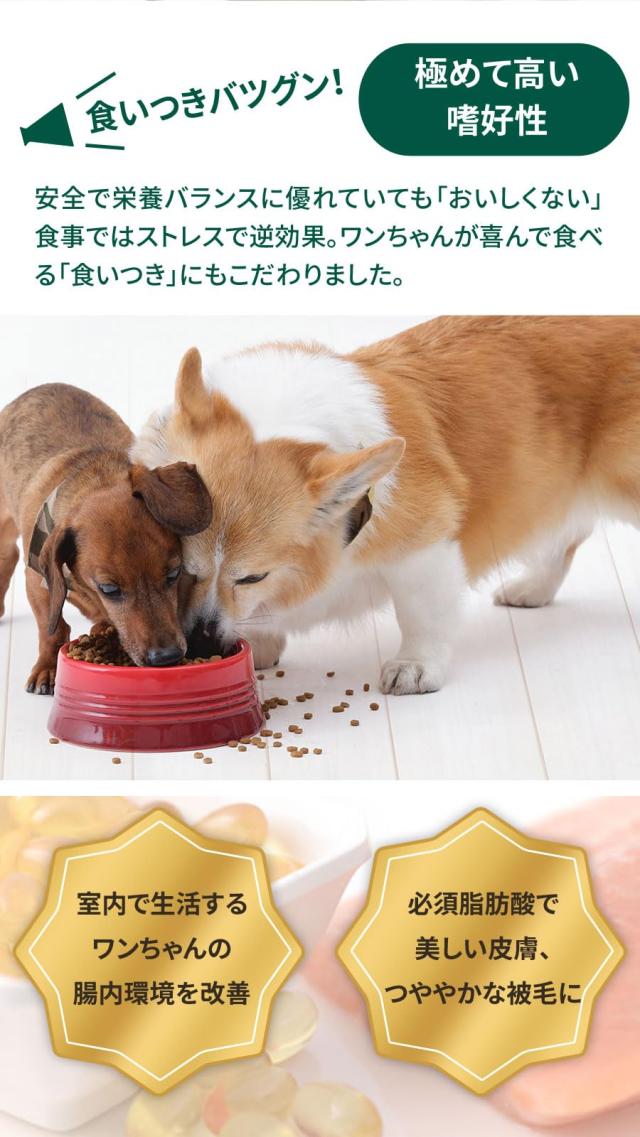 グレインフリー チキン 室内飼育 成犬用 5.8kg