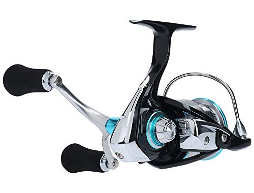 ダイワ(DAIWA) スピニングリール 19 エメラルダス LT3000S-CH-DH