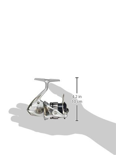 シマノ(SHIMANO) スピニングリール 19 ストラディック C2000S