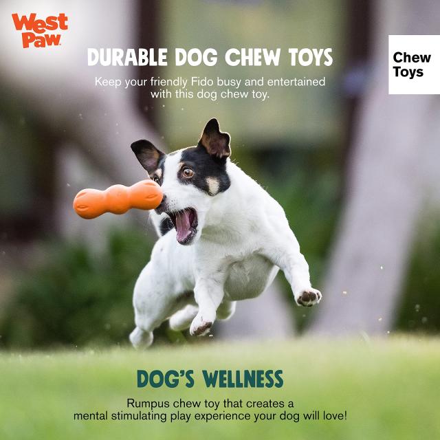 [送料無料]West Paw ゾゴフレックス ランパス 犬 おもちゃ ペット用品 丈夫 犬用品 水にの通販は