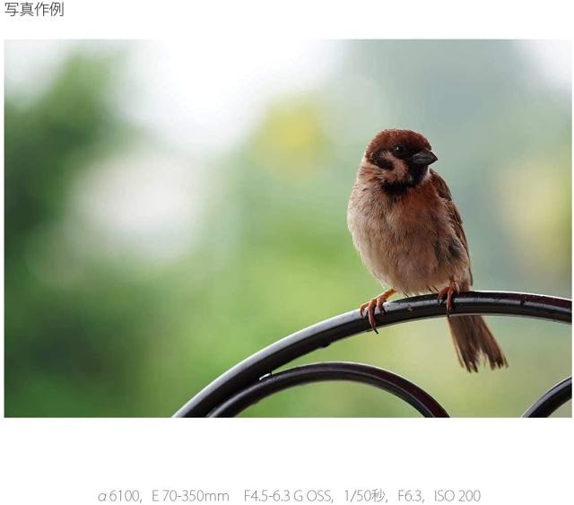 SONY(ソニー) 望遠ズームレンズ APS-C E 70-350mm F4.5-6.3 G OSS Gレンズ デジタル一眼カメラαEマウント用 純正レンズ SEL70350G