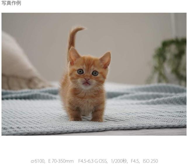 SONY(ソニー) 望遠ズームレンズ APS-C E 70-350mm F4.5-6.3 G OSS Gレンズ デジタル一眼カメラαEマウント用 純正レンズ SEL70350G