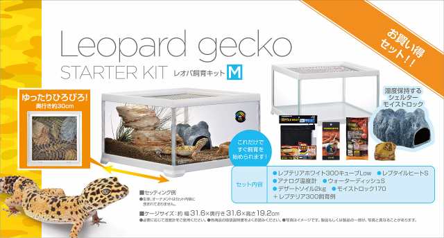 GEX EXOTERRA レプテリア レオパ飼育キットM 爬虫類用ガラスケージ 6点スターターセット ヒーター付  W31.6×D31.6×H19.2cmの通販はau PAY マーケット - MYDOYA2号店 | au PAY マーケット－通販サイト