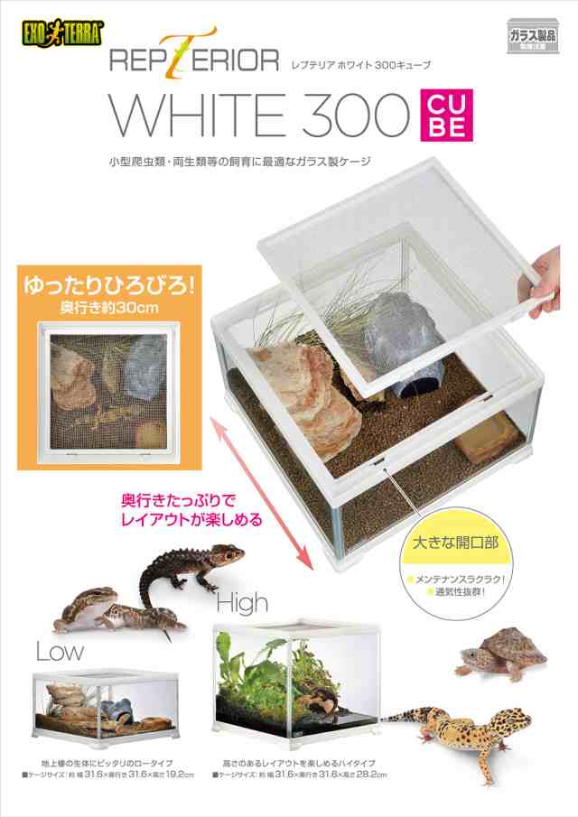 GEX EXOTERRA レプテリア レオパ飼育キットM 爬虫類用ガラスケージ 6点スターターセット ヒーター付  W31.6×D31.6×H19.2cmの通販はau PAY マーケット - MYDOYA2号店 | au PAY マーケット－通販サイト