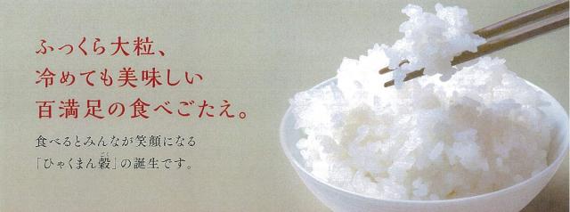 パールライス 石川県産 白米 ひゃくまん穀 5kg 令和5年産の通販は