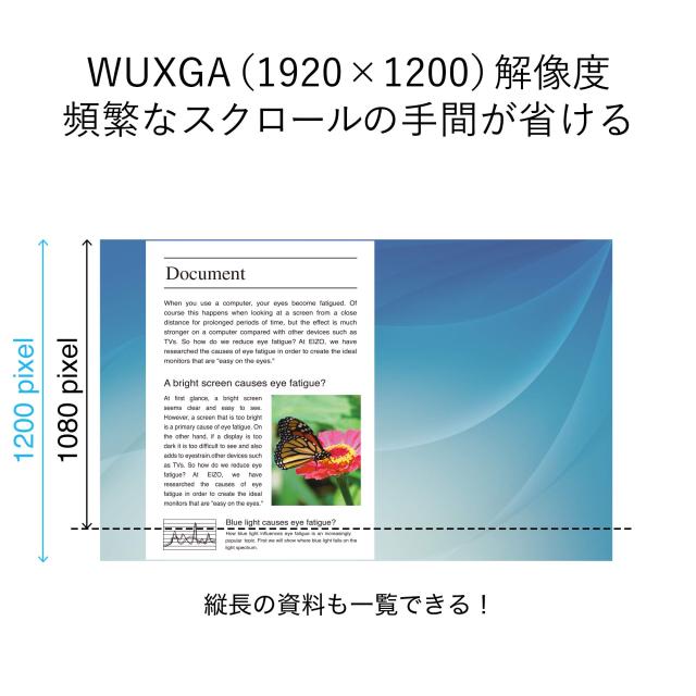EIZO 液晶モニター | FlexScan EV2360-BK | 22.5型1920×1200・スタンド可動・ブラック_1